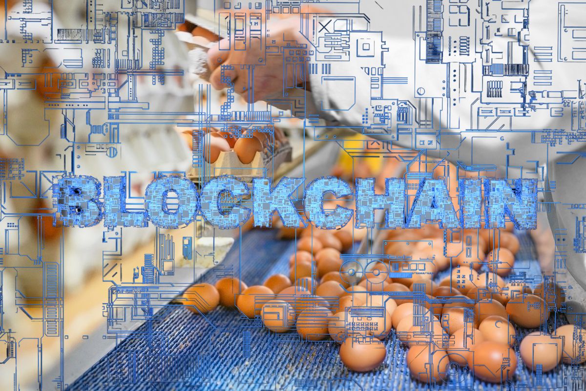 How blockchain and training enhance transparency, safety, and trust in supply chain